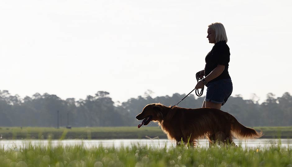 Falvey Lake dog walking