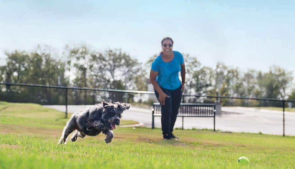 Dog park