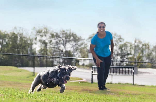 dog park
